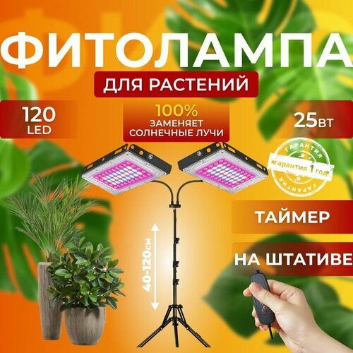 ���������� ��������� ��� ����������� �������� ������� ������ ������, �������������� ������������ �� ������������ �������, ����� 2 ���������� ��� ������, �������������� ������, ������