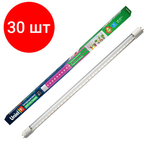  30 ,  Uniel LED-T8-9W/SPSB/G13/CL PLP30WH  T8,    , -, 