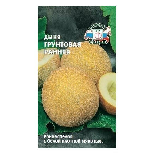 ���������� ���� ��������� ������, 1 �����, ������ 0,5�, �����