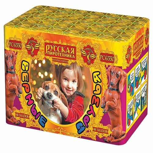 ���������� ������� ������� ������� ����������� ������ ������ ��6550, 48 ������, ������������ 21.5 �� 14 ��