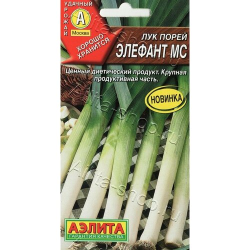 ���������� ������ ���� ����� ������ �������, �������������, ����������, 0,5 �