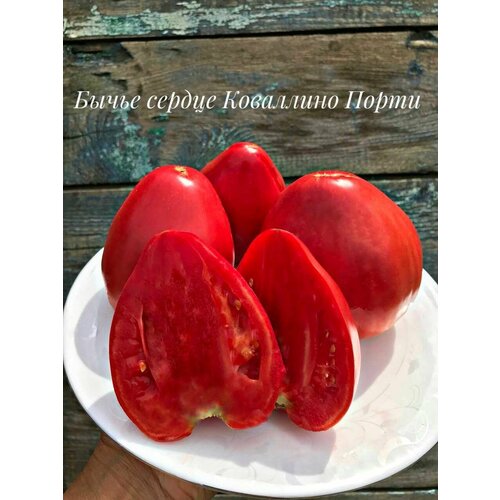 ���������� ������������� ������ ������ ����� ������ ��������� �����