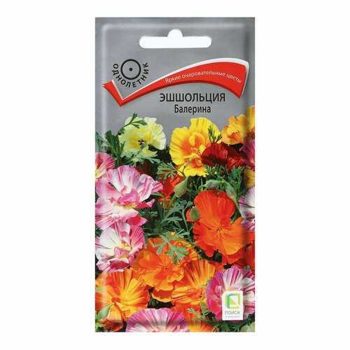 ���������� ������ ������ ��������� 