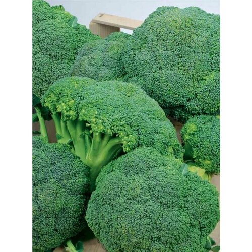 ���������� ������������� ������ ������� �������� ������ F1