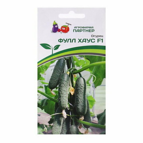 ���������� ������ ������ ������������������ 