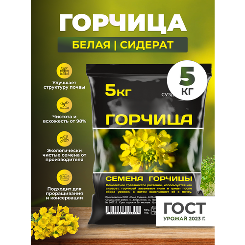 ���������� ������� ������ ���� ������� / ������� / ������� ������������ ���������, 5 ��