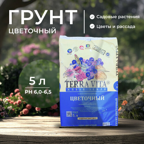 ���������� ������������� ��������� ����� ��� ��������� �������� � ������� 5 �, ����������� ���������� ����� ����� ��� ������