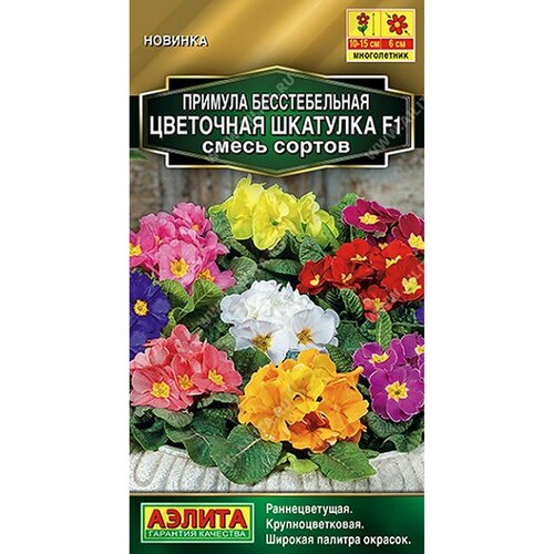 ���������� ������ ������� ��������� �������� F1, ����� ������, �����������, (������) 5�� ������� �����