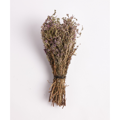 ���������� ���� ��� ���� � ����� ������, ������-������ ������ �� ������ ����� ����