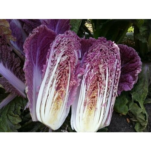 ���������� ������������� ������ ������� ��������� ��������� ����� F1