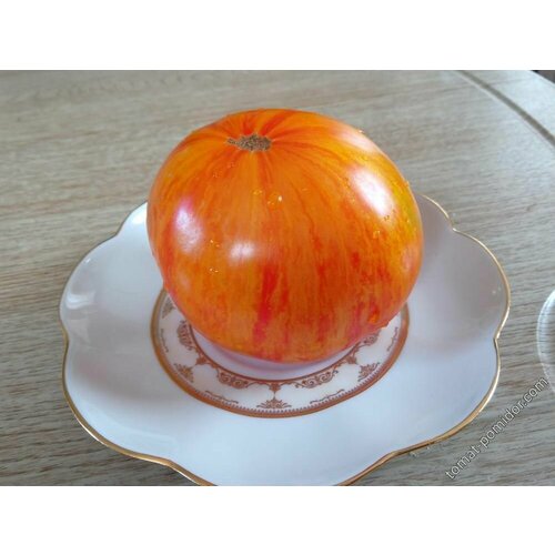 ���������� ������������� ������ ������ ������� ��������� ���������