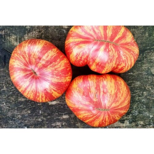 ���������� ������������� ������ ����� �������� ����