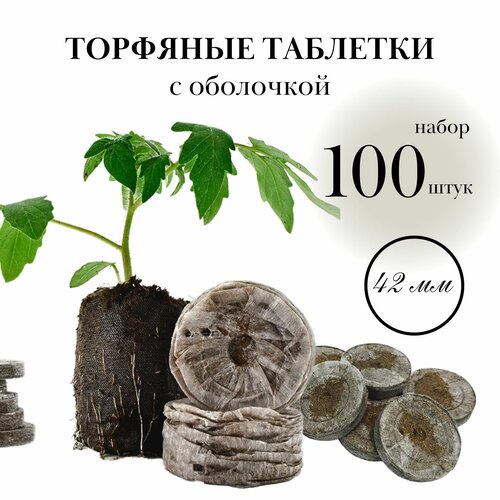 ���������� �������� �������� ���� ��� ������� 100��, ������� 4,2��