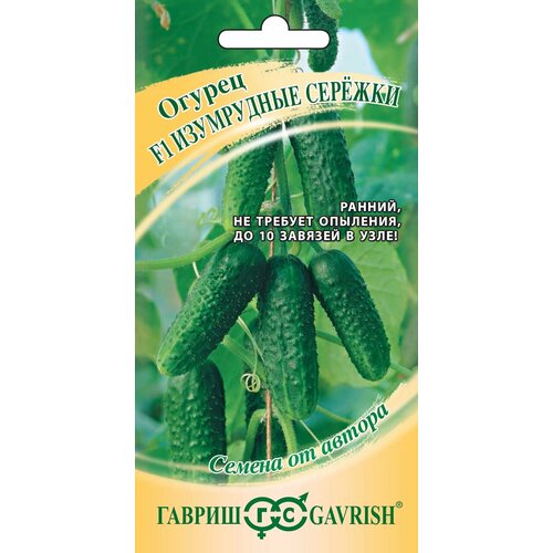 ���������� ������ ������ ���������� ������� F1, 10��, ������, ������ �� ������