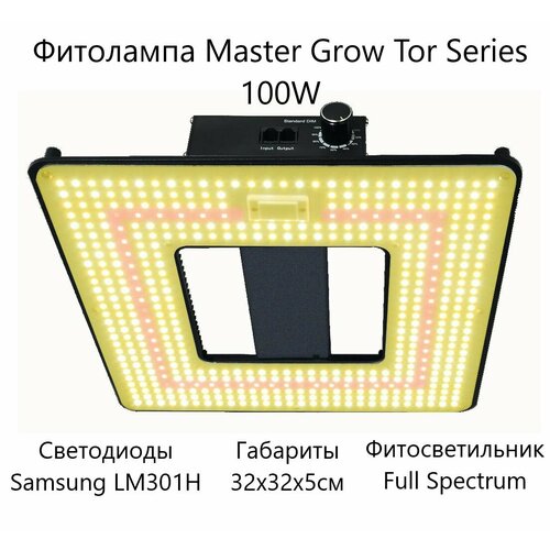    Master Grow Tor Series 100W,   .   , -, 