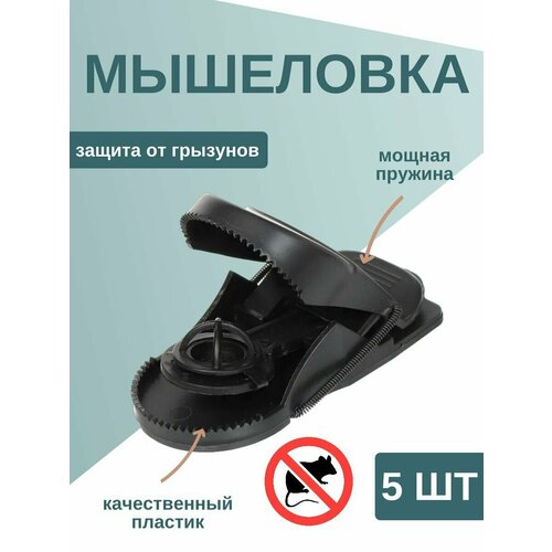 ���������� 5 ��������� - ������ ������������ ������� ��� �����