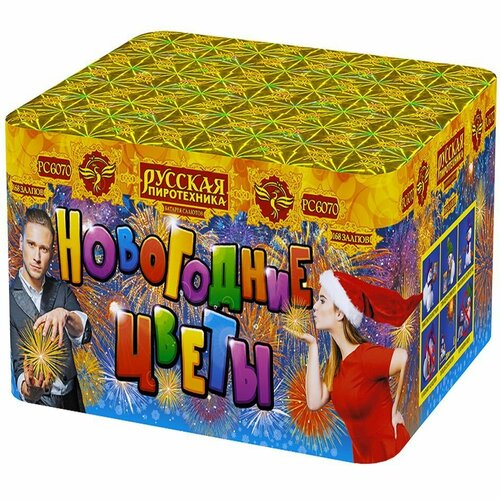 ���������� ������� ������� ������� ����������� ���������� ����� ��6070, 168 ������, ������� 16 �� 28 ��