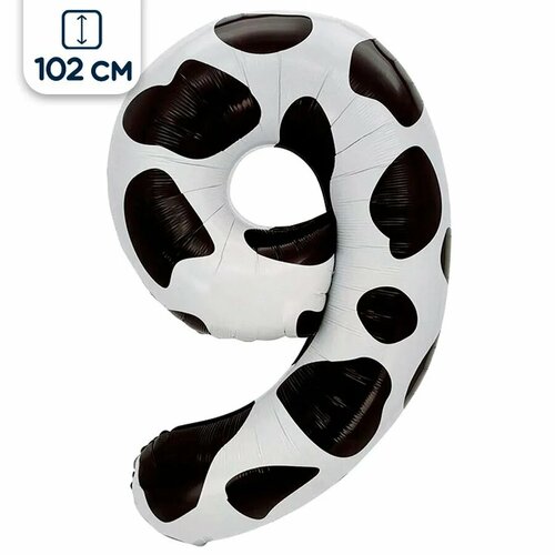 ���������� ��������� ��� ����� 9, ��������� �����, 102 ��