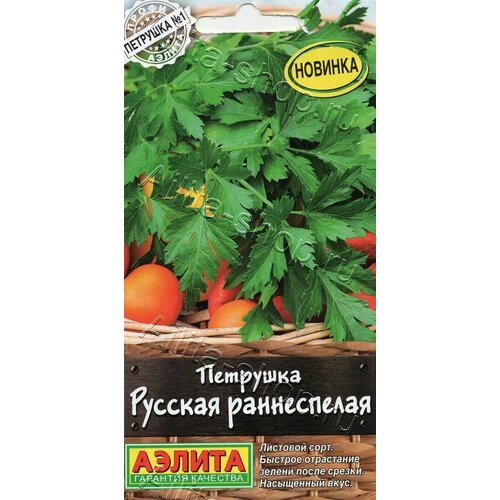 ���������� ������ �������� ��������� ������ 