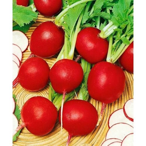 ���������� ������������� ������ ������ �������� ��� F1