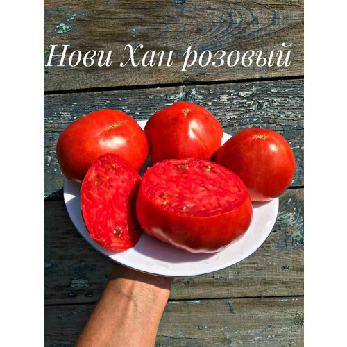 ���������� ������������� ������ ������ ����� ������� ���