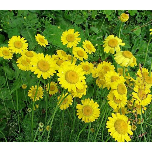 ���������� ������� ����������� ��������� (�������), ����������� � ������ ���������� � ��������� ���������� �������� ��� �����, �������� � �����������, 180 �� �����