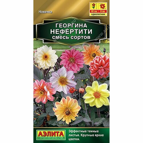 ���������� ������ �������� ���������, ����� ������, ����������, (������) 0,3� ������� �����