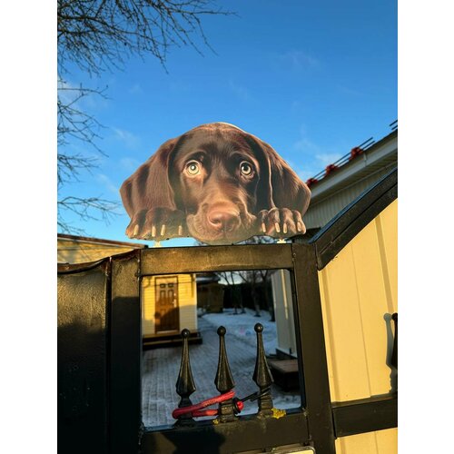 ���������� ����� �� ������� ��� ����, ���� 