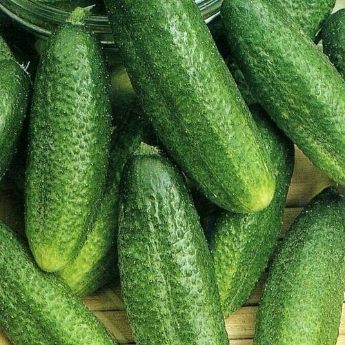 ���������� ������������� ������ ������ F1 �����