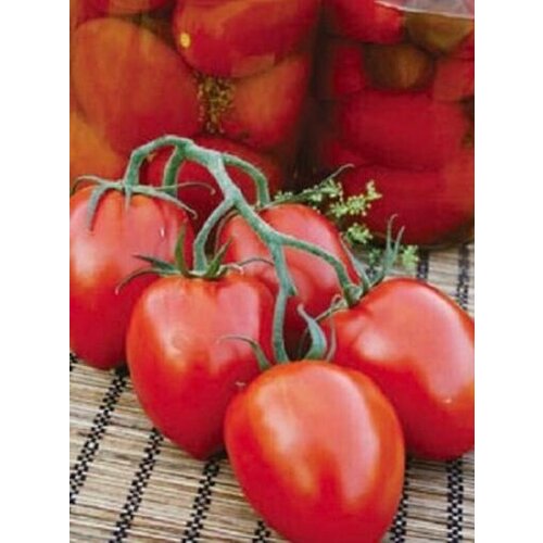 ���������� ������������� ������ ������ ��������