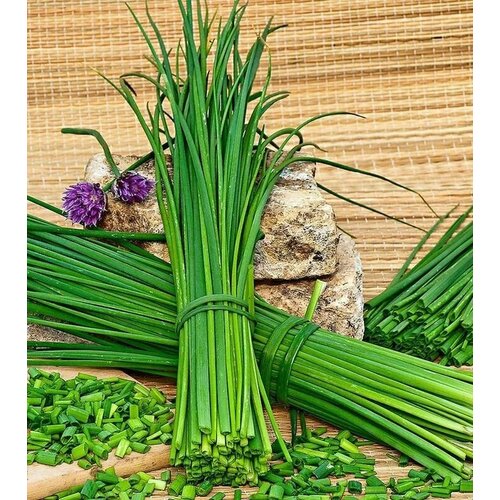 ���������� ������������� ������ ���� ����� ������ ��������