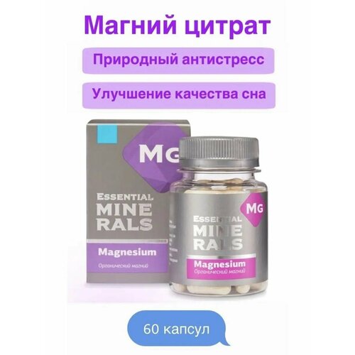 ���������� ������������ ������ Essential Minerals, 60 ������