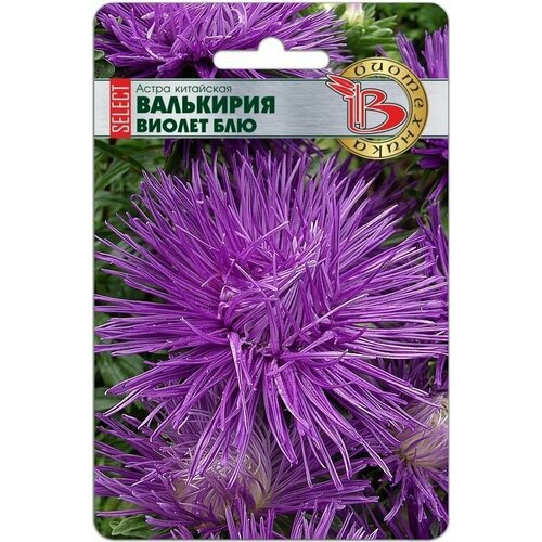 ���������� ����� ��������� ��������� SELECT ������ ���