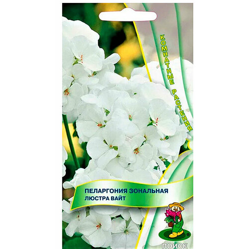 ���������� ������ ���������� ������ ���� F1 5��. �����