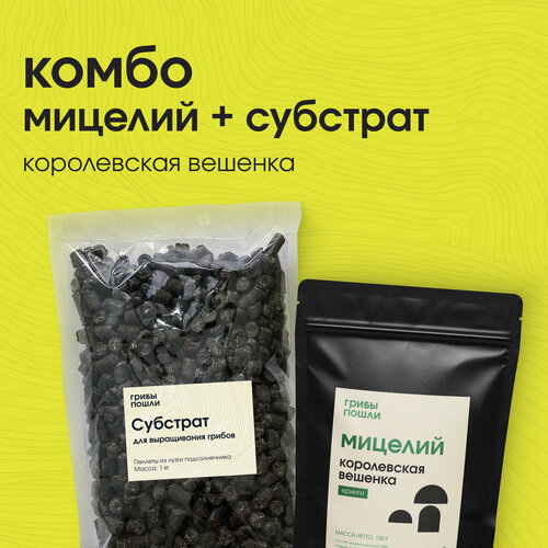 ���������� �����-����� ��� ����������� ������. ����������� �������