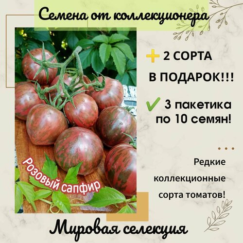 ���������� ����� ������� ������, �������� ���� ��������, ���, ������������� ����