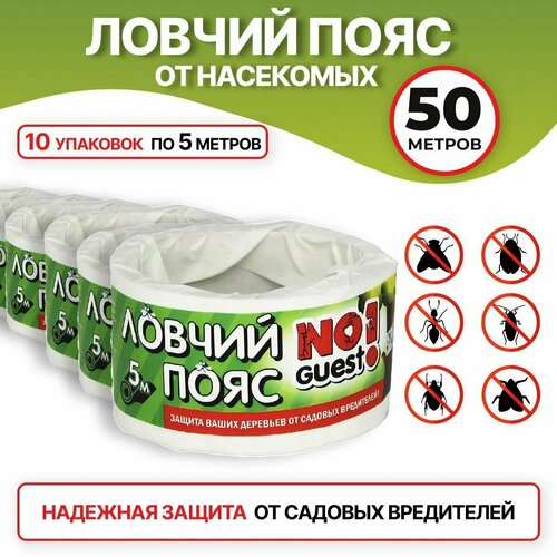 ���������� ������ ���� �� ������� ���������� NoGuest, ��� ��������, 50 � (10 ��. �� 5 ������)