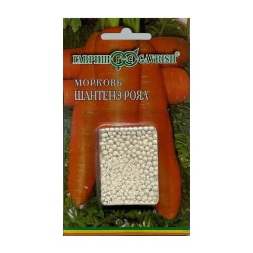 ���������� ������ ������� ��������������� ������� ���� 300�� (������)