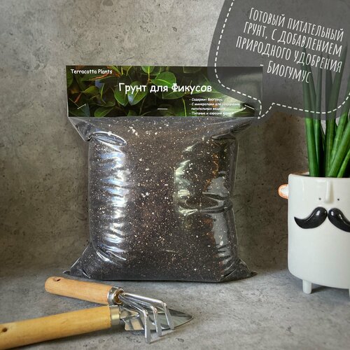 ���������� ������� ����� ��� ������� � �������� �������� Terracotta Plants, 5 ������