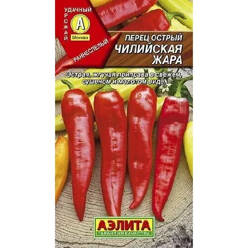 ���������� ����� ������ ��������� ����, ������ ������ 20��