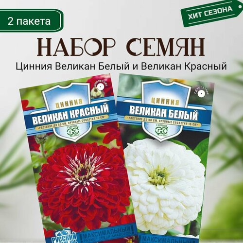 ���������� ������ ������� ����� � ������� ������� 2 ������ �� 0,3� �����