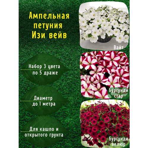 ���������� ��������� ������� ���������������� ������ ��� ���� ����, ��������, �������� ���� �� 5 �����