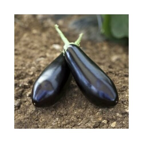 ���������� ������������� ������ ��������� �������� F1