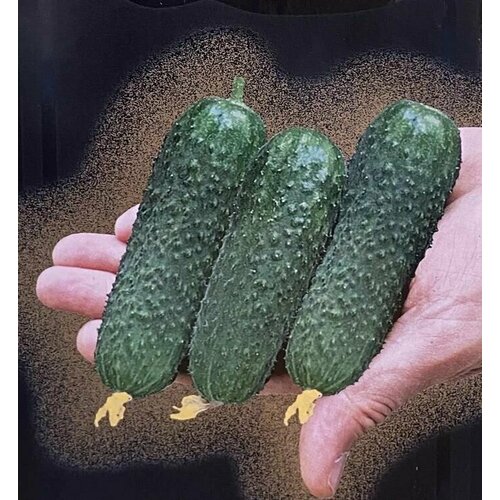 ���������� ������������� ������ ������ ������ F1