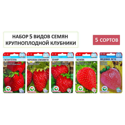 ���������� ����� 5 ����� ����� ��������: �������� ���������, ����������, �����, ������, ������� ����