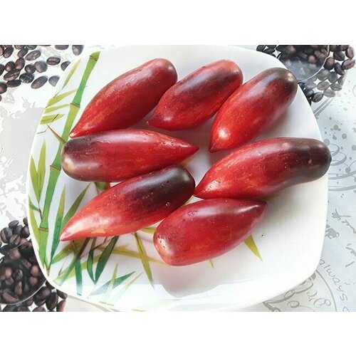 ���������� ������������� ������ ������ ������ ������