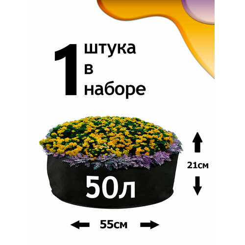 ���������� ������ �� ����������� - 50� - 1��