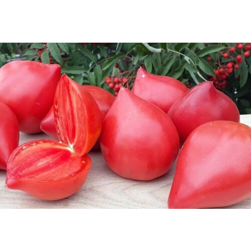 ���������� ������������� ������ ������ ����������� �� ���������� ������� � �������