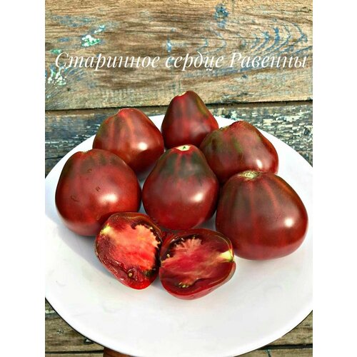 ���������� ������������� ������ ������ ������� ������ �������