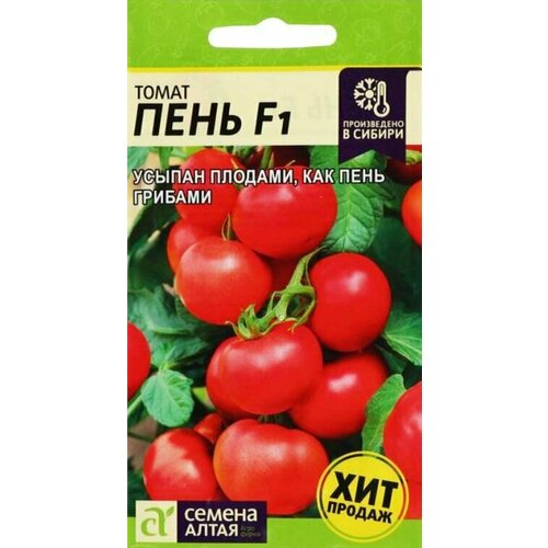 ���������� ����� �������������� ���� F1 ������ ����� (1 ��������-5 �� �����)